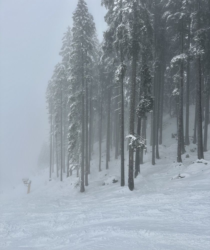 Photograph by Елена Брижеватая