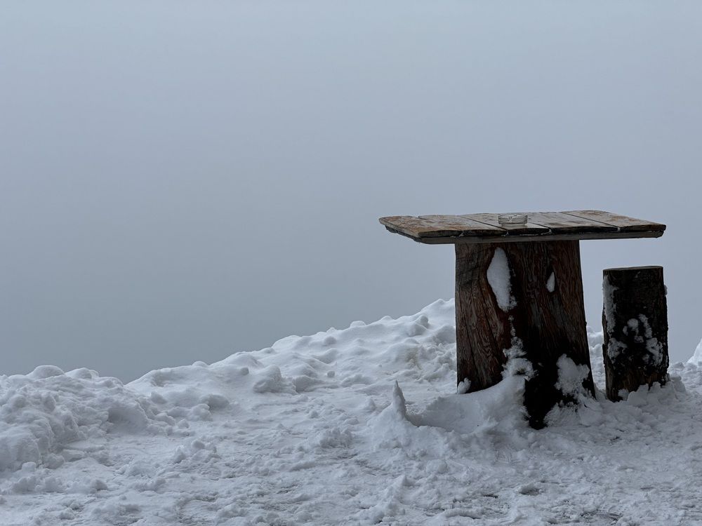 Photograph by Елена Брижеватая