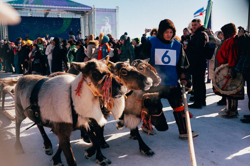 Photograph by Алена Полищук