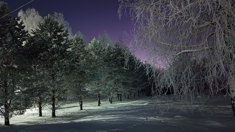 Photograph by Любовь Старовойтова