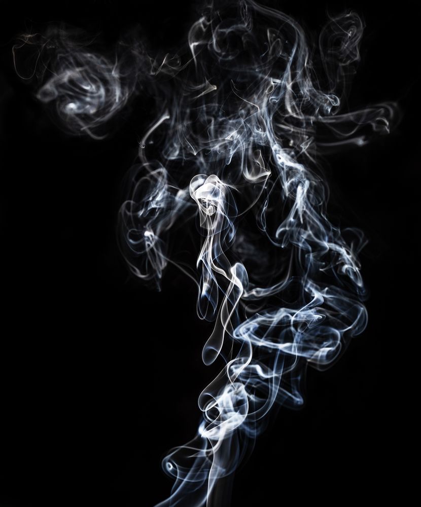 Фотография автора NIKOLAY KALININ