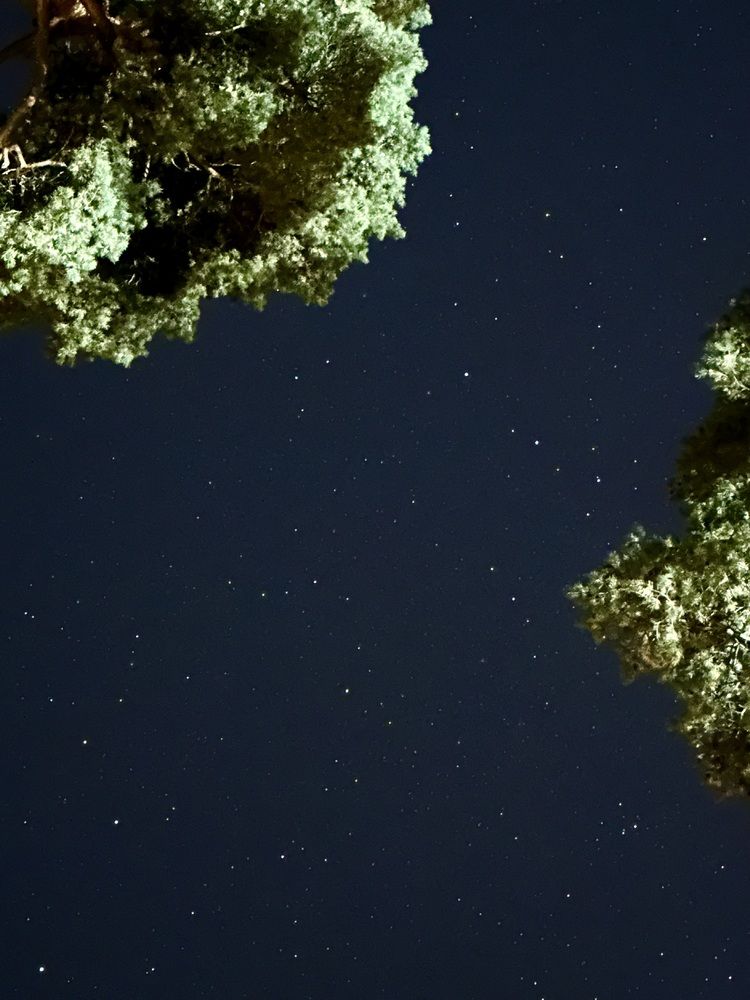 Photograph by Елена Брижеватая