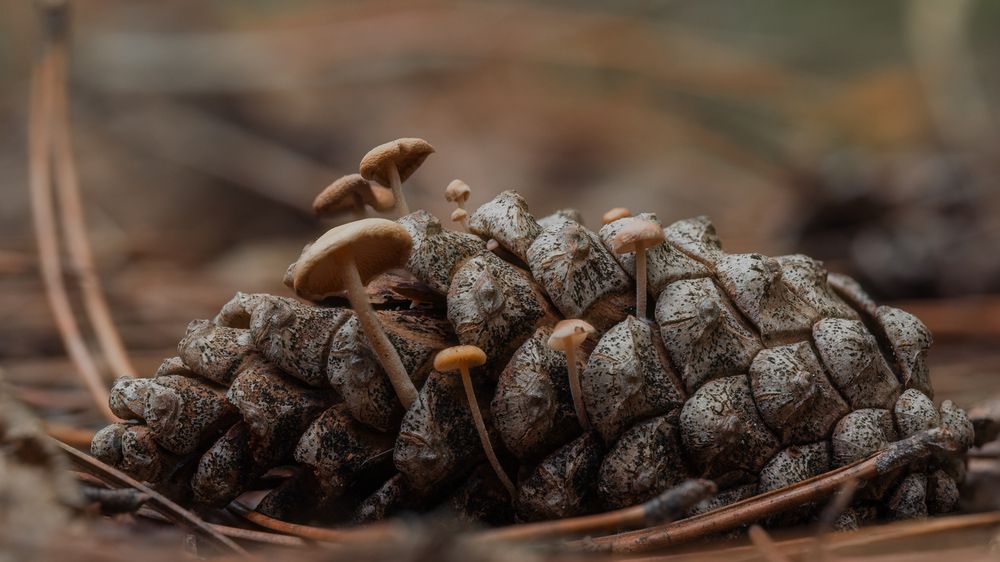 Photograph by Григорий Консевич