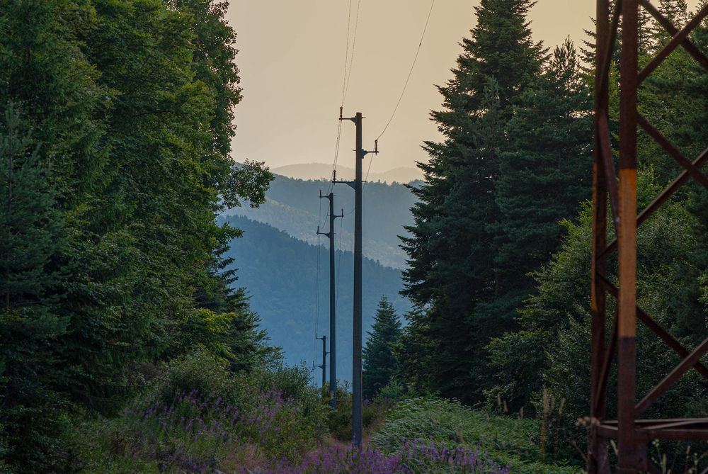 Echoes of the Silent Current