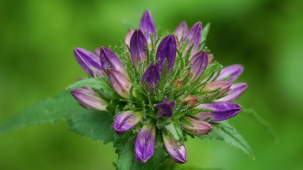 Photograph by Наталья Лобанова