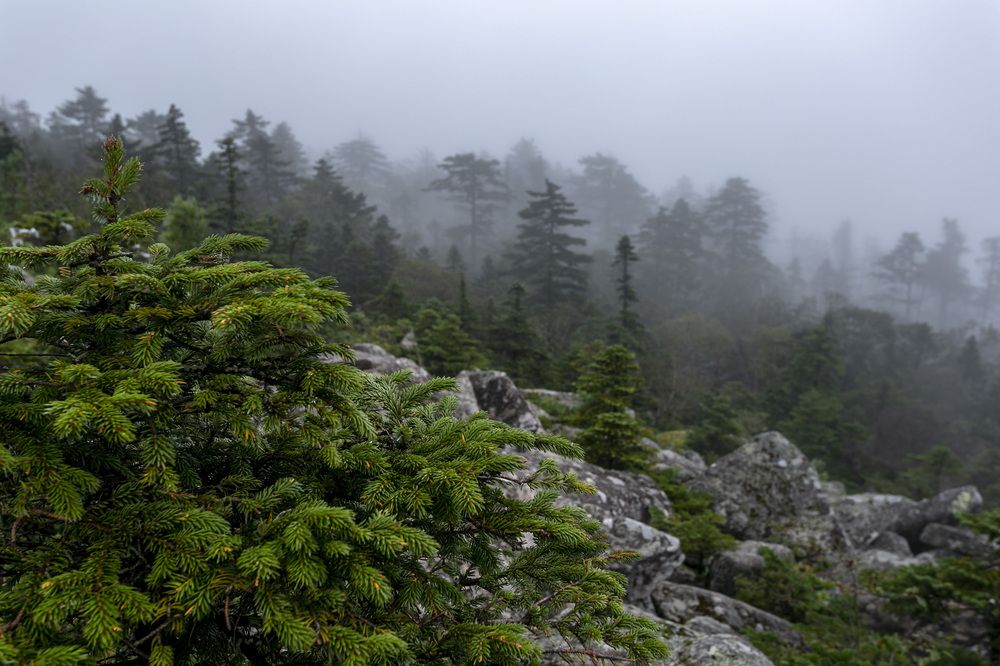 Photograph by Кузнецов Александр