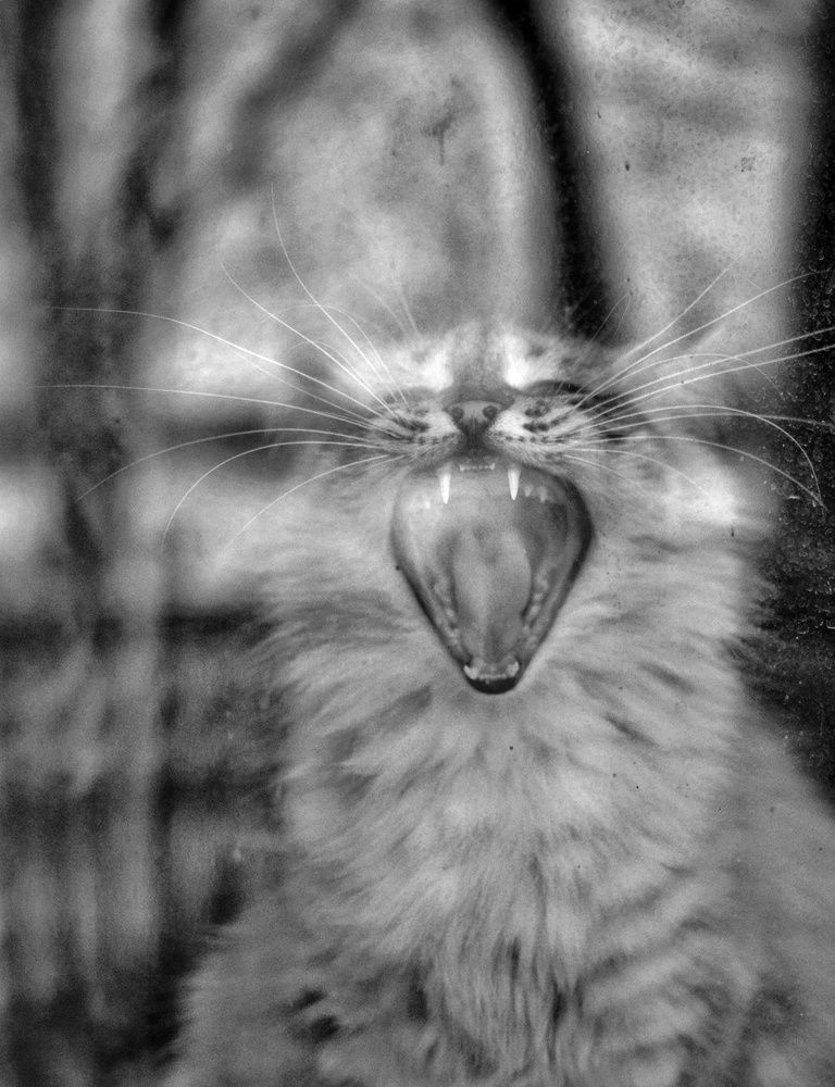 Фотография автора Ольга Беликова