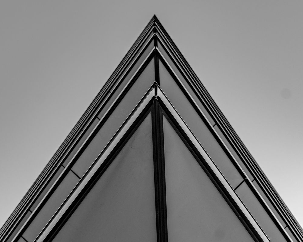 Photograph by Raimondas Zavackis