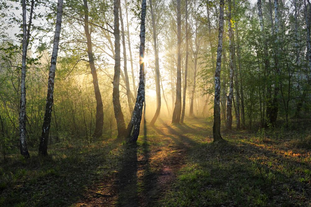 Фотография автора Кухта Мария