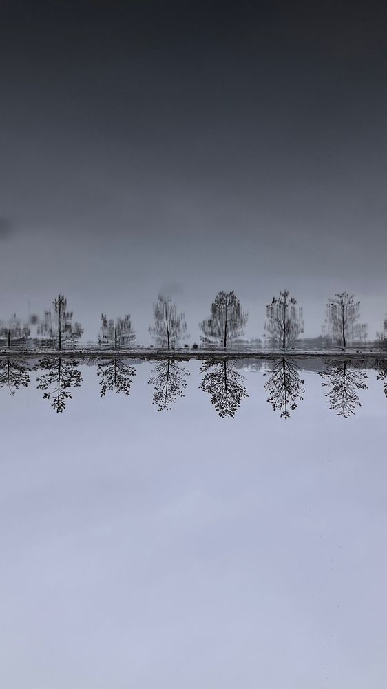 Photograph by Мария Карпычева