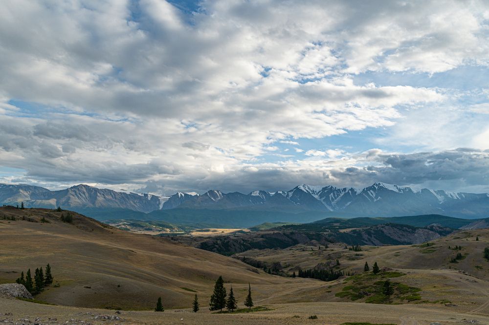 Фотография автора NIKOLAY KALININ