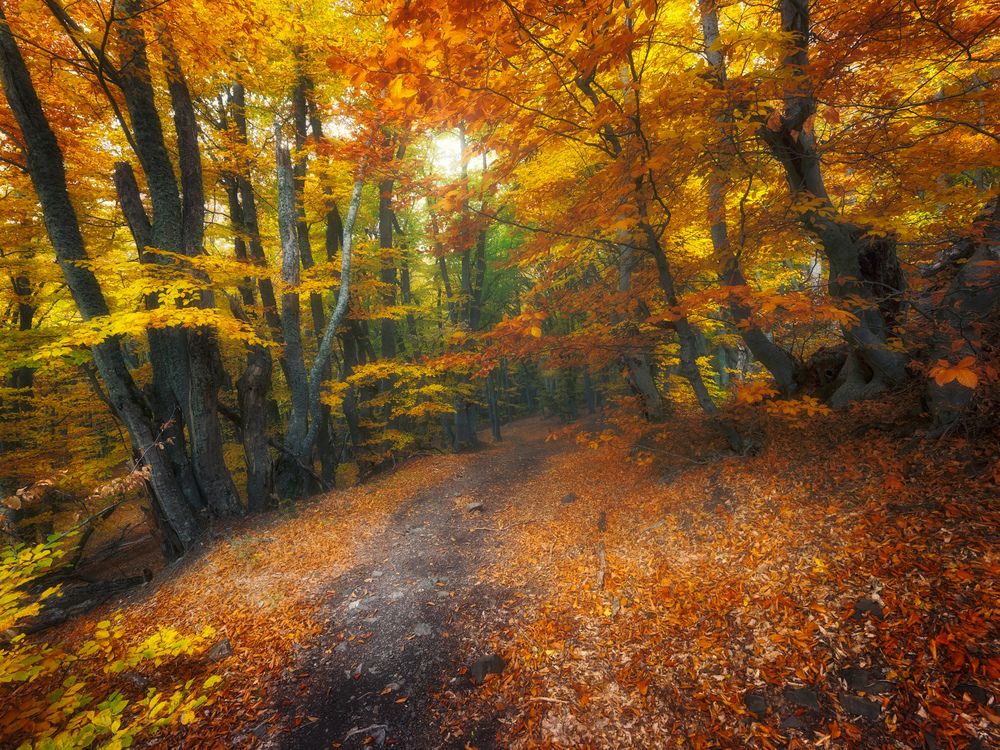 Photograph by Медянцев Дмитрий