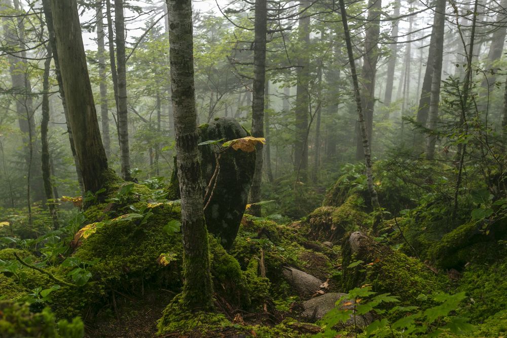 Photograph by Кузнецов Александр