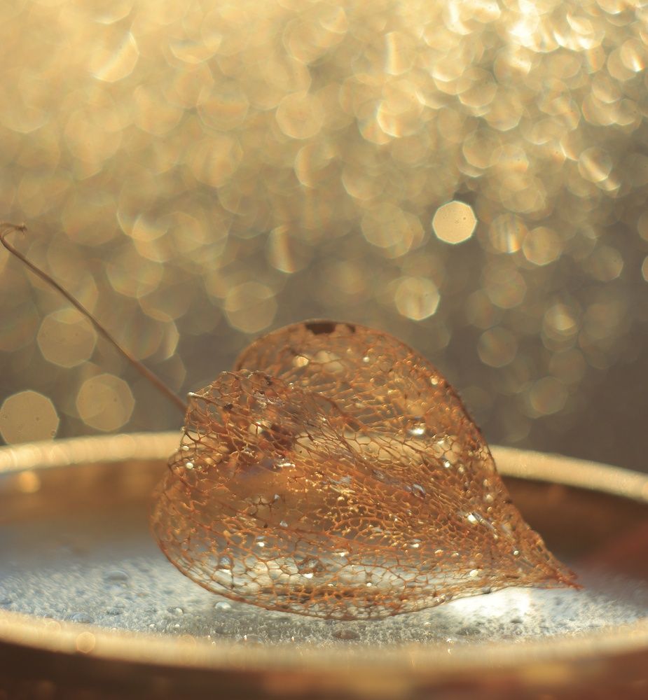 Photograph by Inna Klimaševska