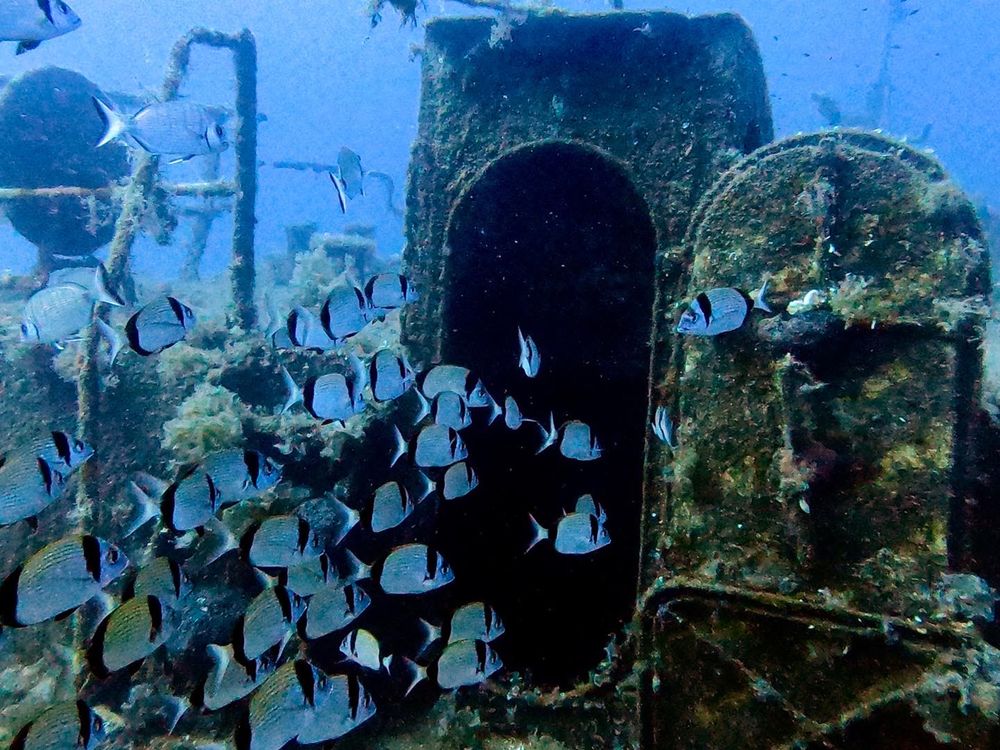 Фотография автора Gözde Karayel