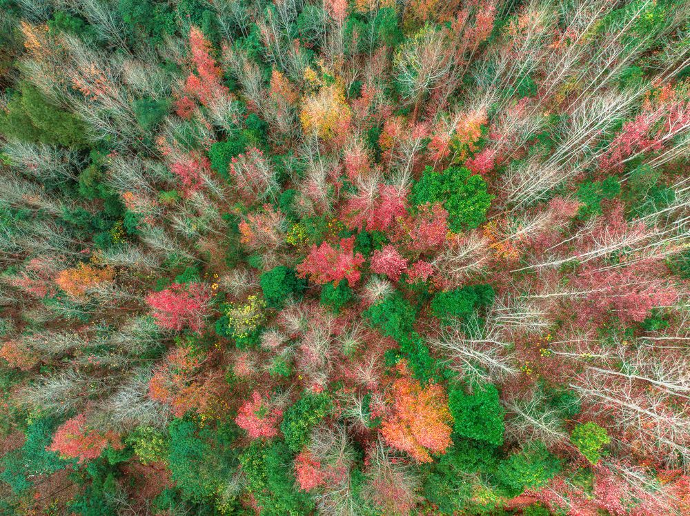 Photograph by Tran Phuong