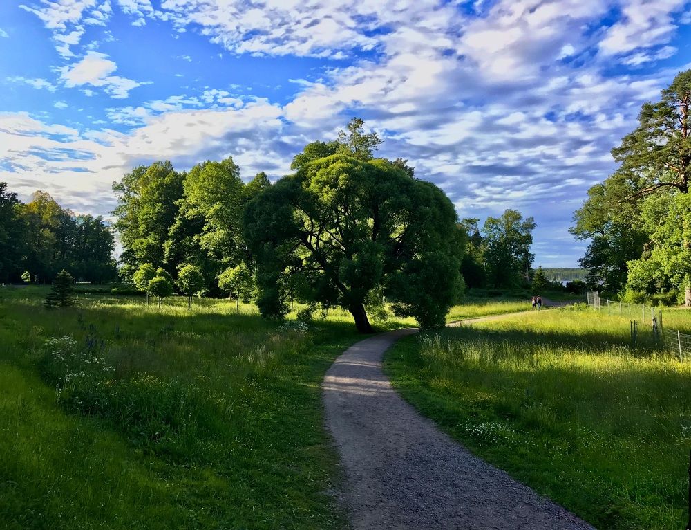 Photograph by Татьяна Шитлина