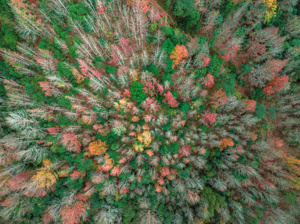 Photograph by Tran Phuong