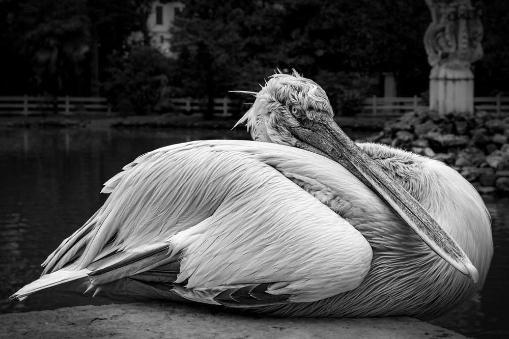 Photograph by Александр Поцелуев