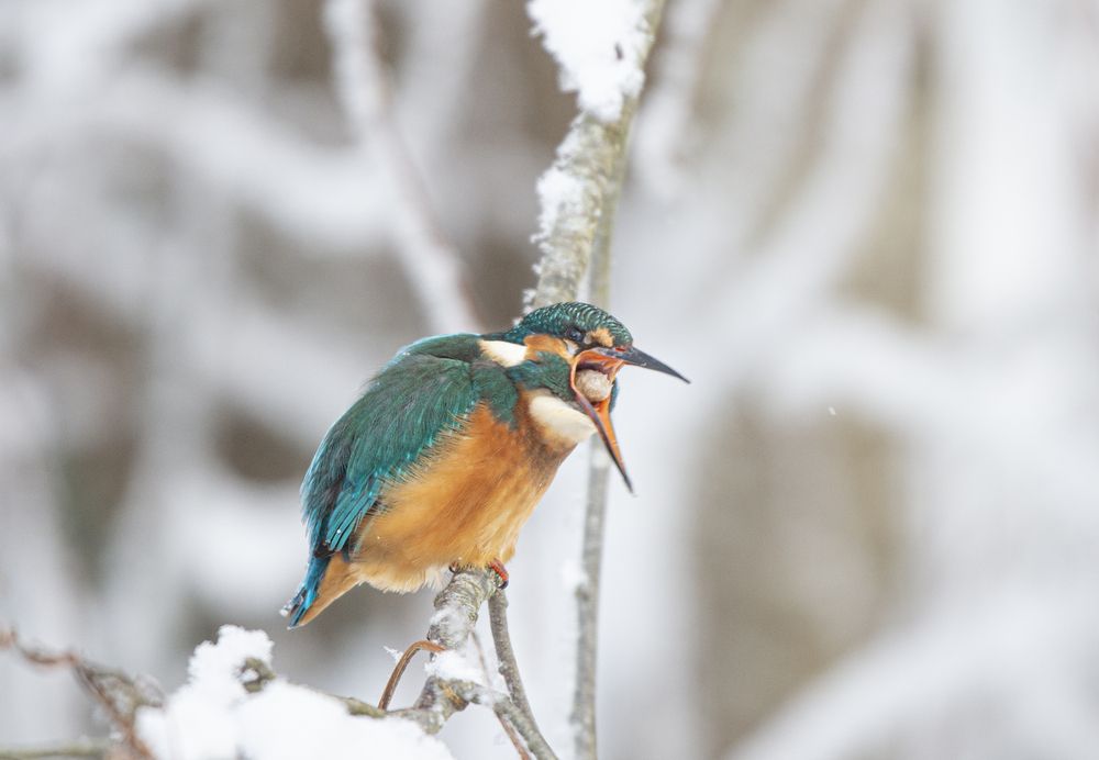 Photograph by Кулаков Юрий