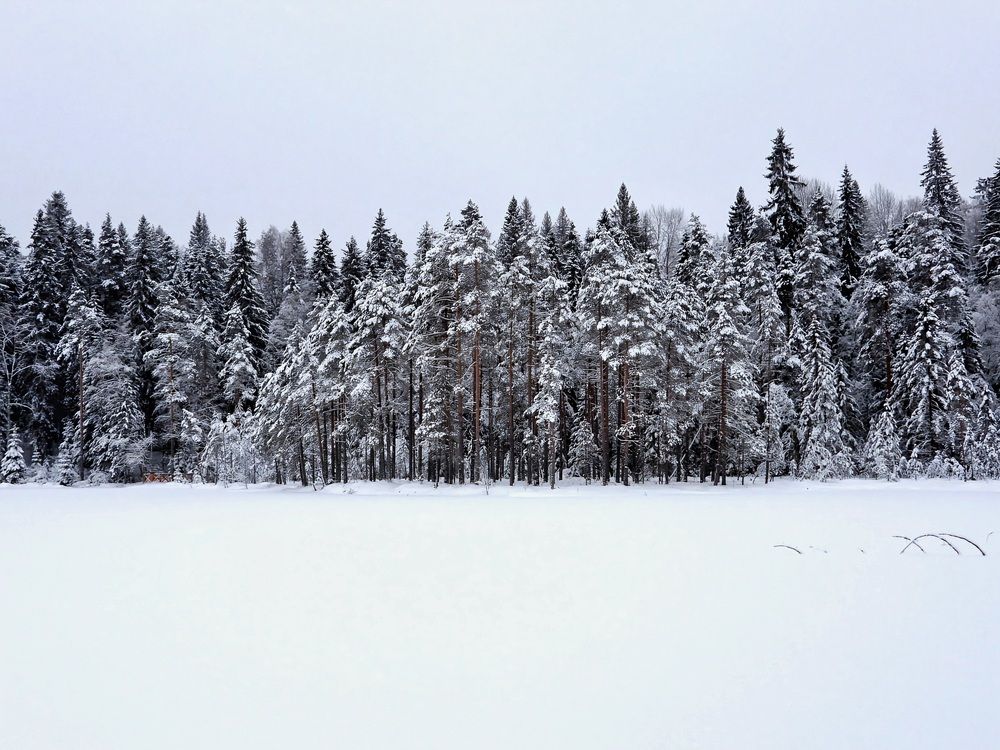 Photograph by Александр Шаварин