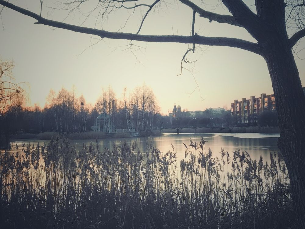 Photograph by Сандро Пилюкшин
