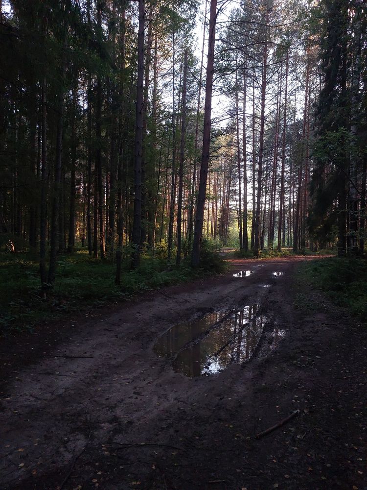 Фотография автора Татьяна