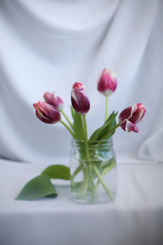 Photograph by Наталья Муравейко