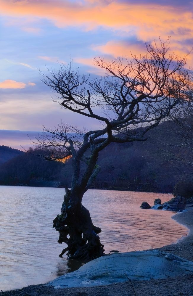 Фотография автора Michael Gault