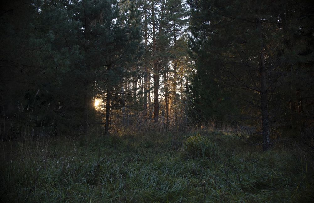 Photograph by Павел Соснин