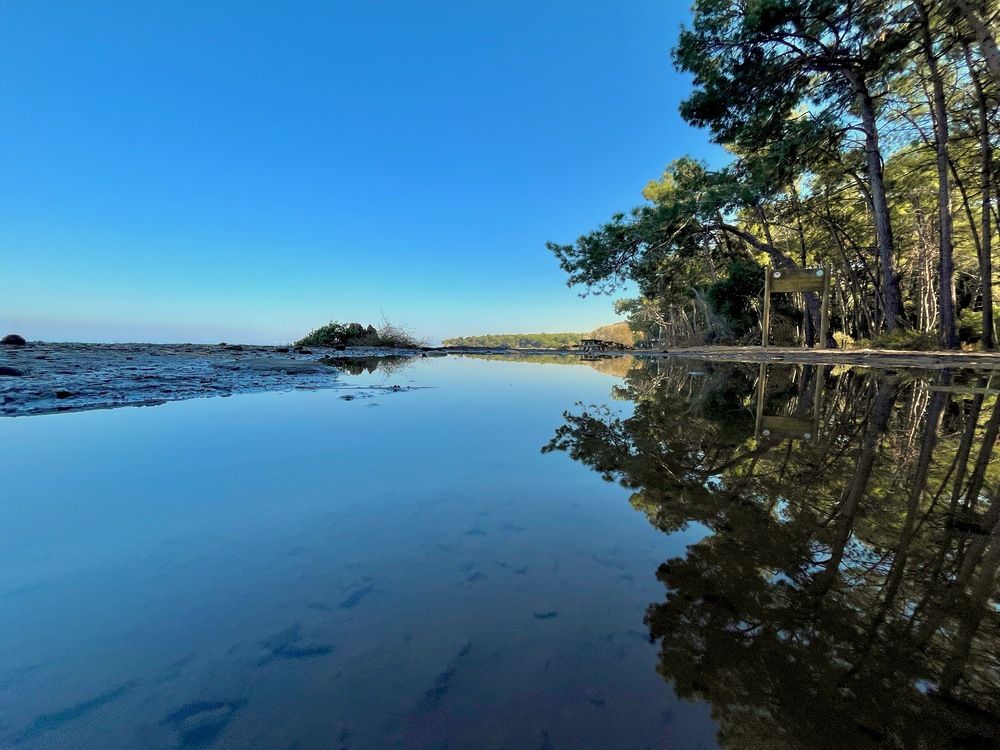 Photograph by Ahmet Aka