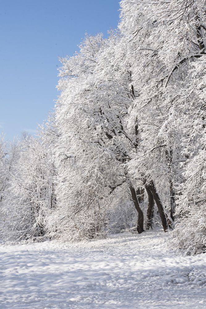 Photograph by Павел Соснин