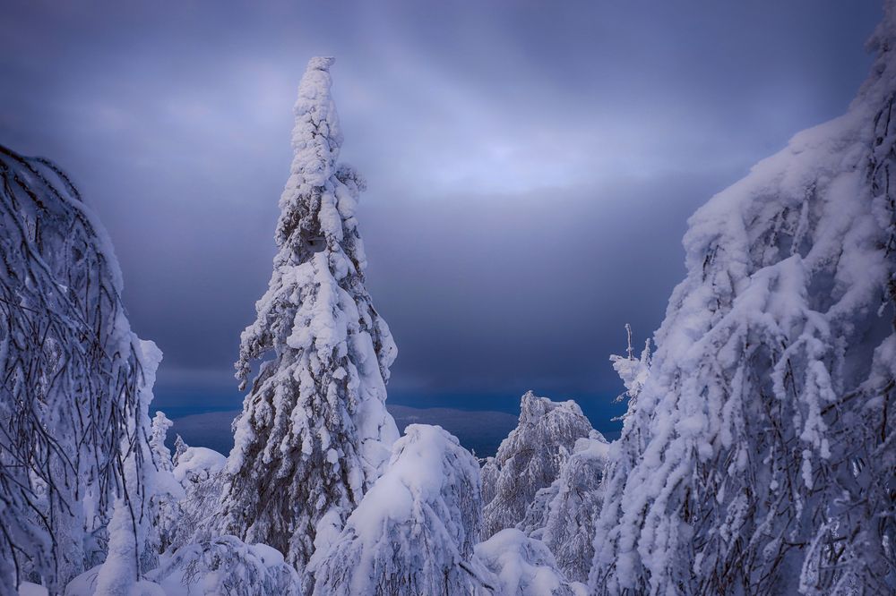 Прояснивает