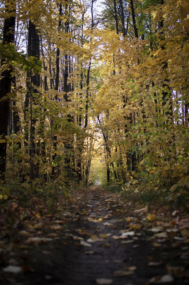 Photograph by Павел Соснин