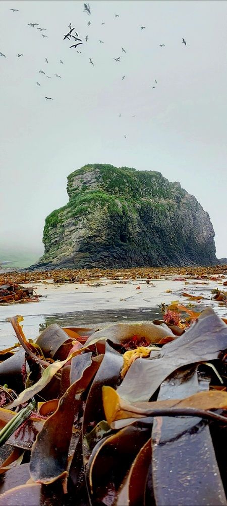 Photograph by Оксана Галаган