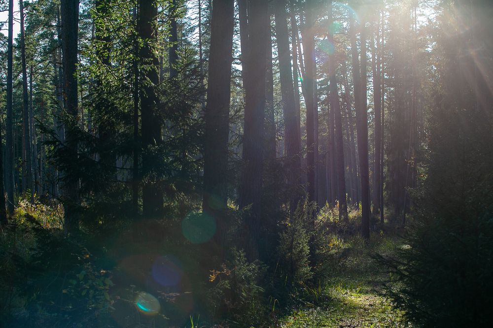 Photograph by Наталья Катюжанская