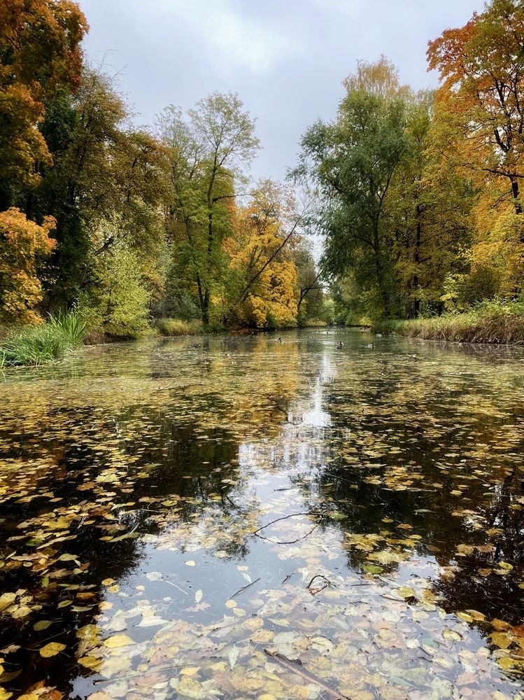 Photograph by Ирина Данилова