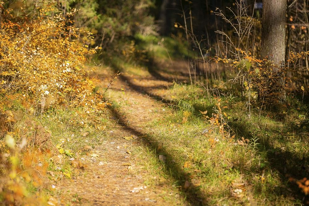 Photograph by Наталья Катюжанская