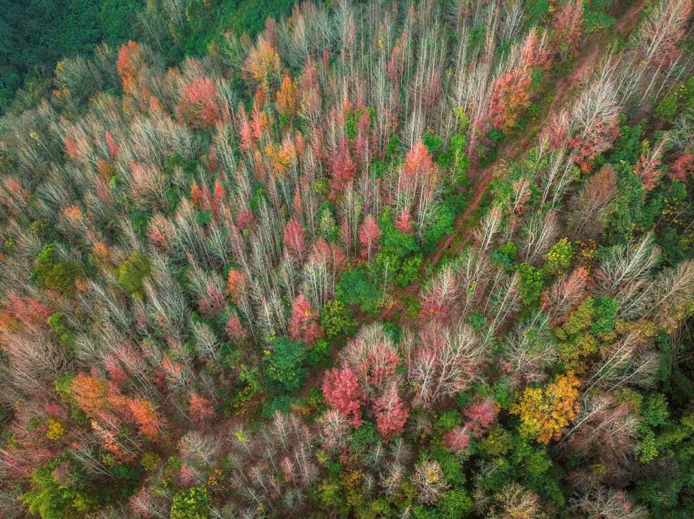 Photograph by Tran Phuong