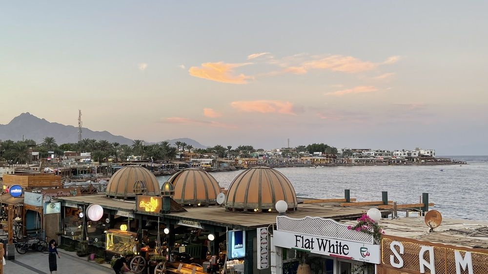 Фотография автора Hala Ali