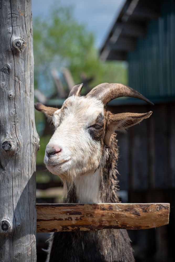 Photograph by Анастасия Устинова