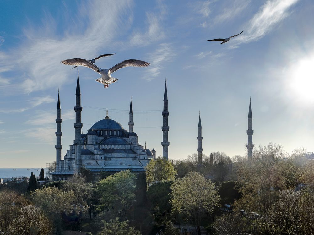 Фотография автора Виталий Гайкович