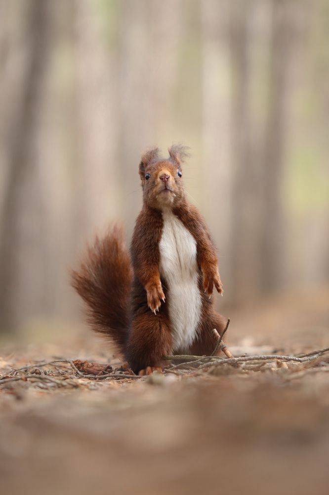 Photograph by eritz cortazar