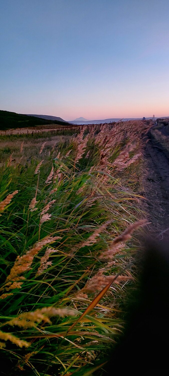 Photo #11824155