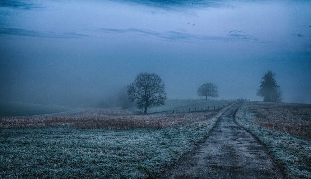 Photograph by Guy Krier