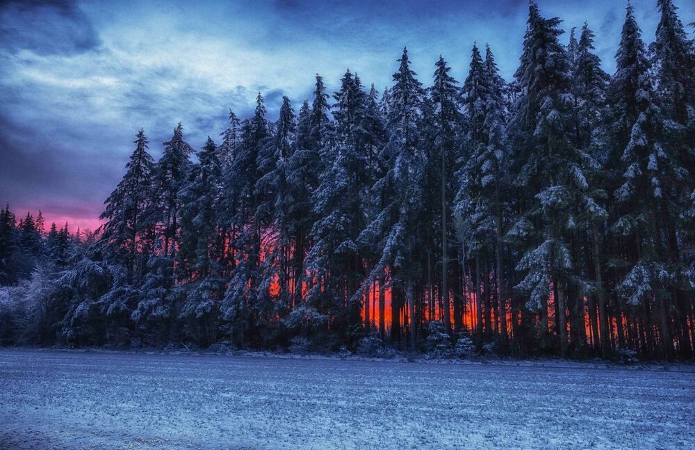 Photograph by Guy Krier