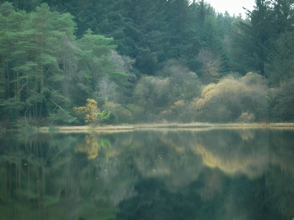 Фотография автора Michael Gault