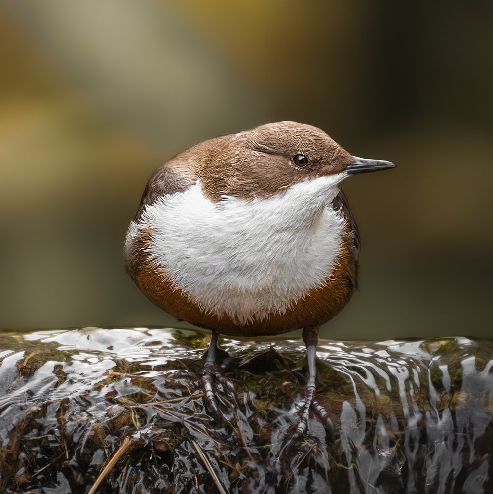 Photograph by Mohammad Abbasi