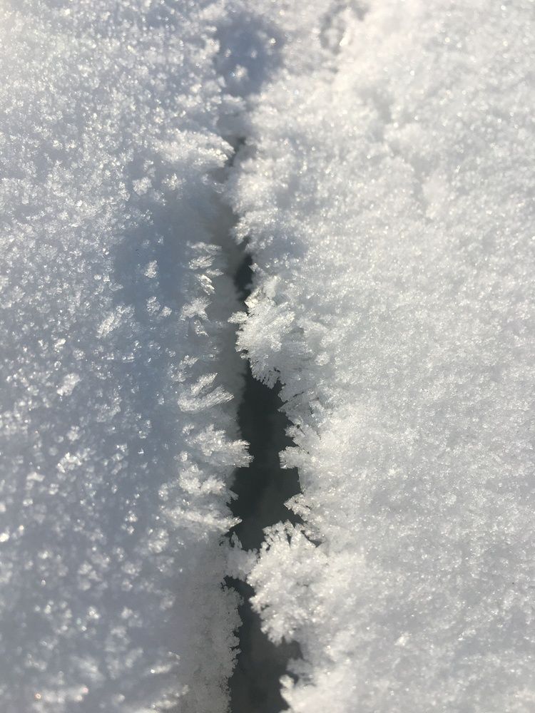 Фотография автора Балановская Виктория