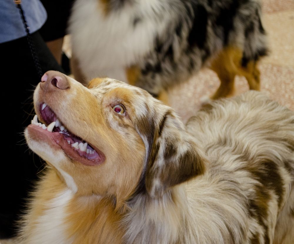 Photograph by Любовь Бусова